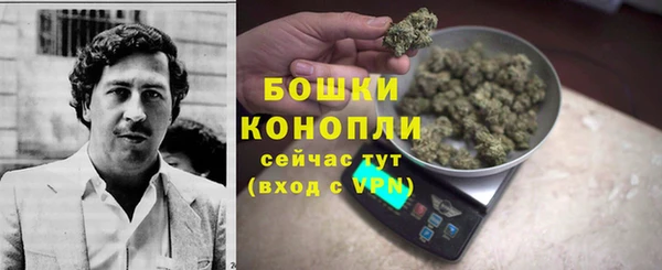 сатива Белокуриха