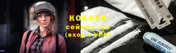 прущие грибы Аркадак