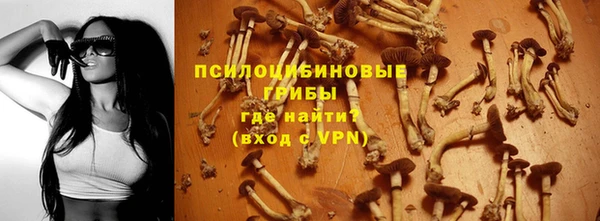 молекула духа Баксан
