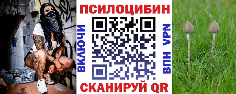 Купить закладки  Дмитровск  Псилоцибиновые грибы мухоморы 